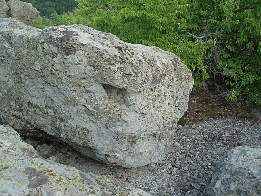 ���������,�� �� ������ �������� ���������