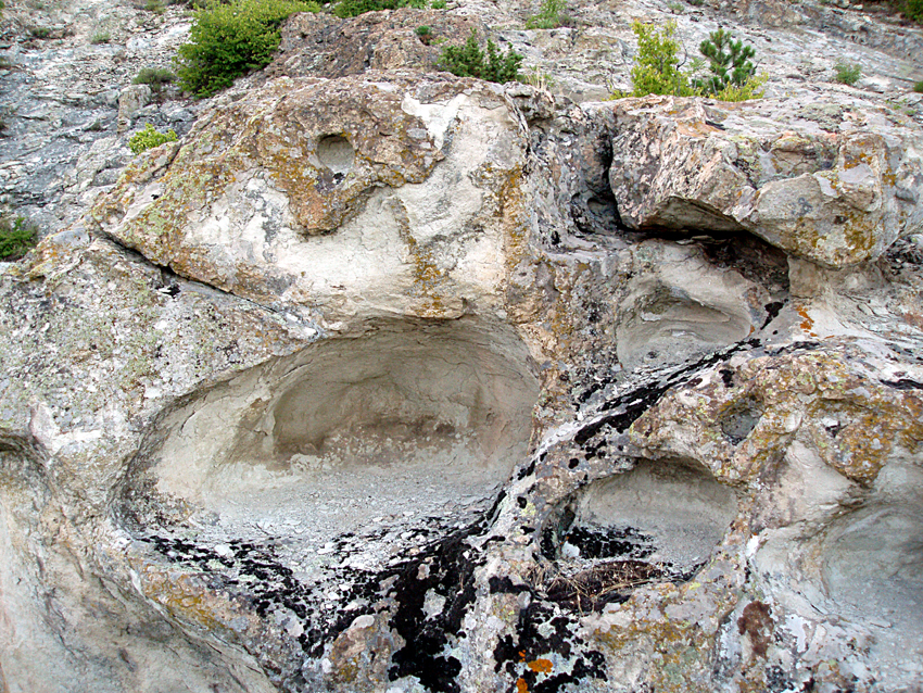 ���������,�� �� ������ �������� ���������