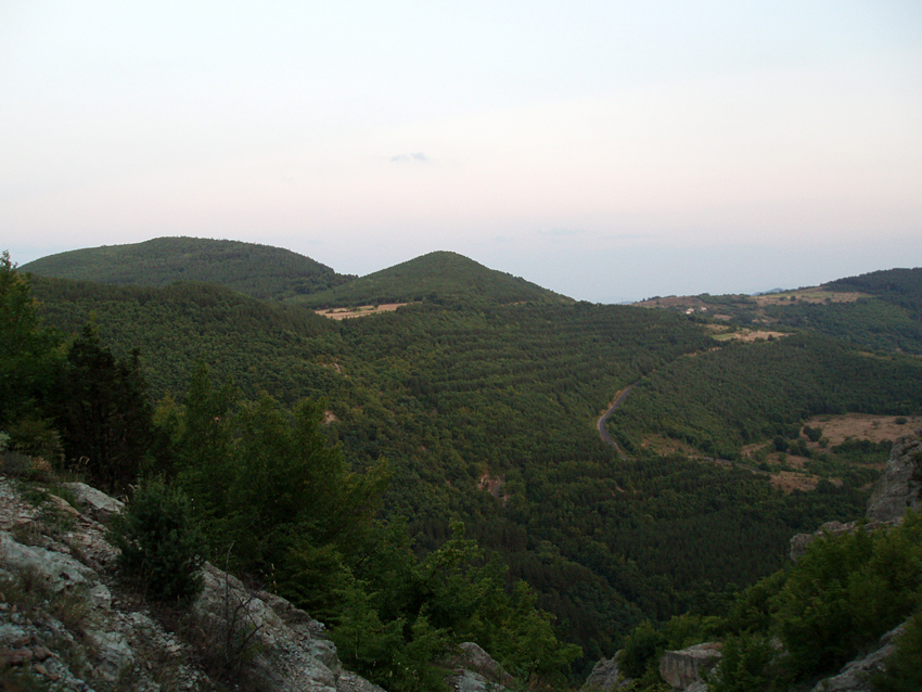 ���������,�� �� ������ �������� ���������