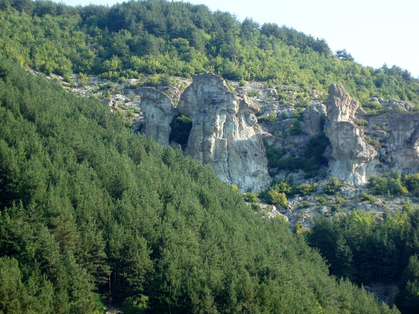 ���������,�� �� ������ �������� ���������