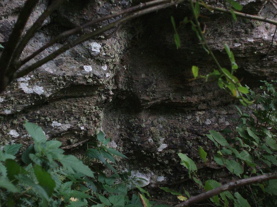 ���������,�� �� ������ �������� ���������