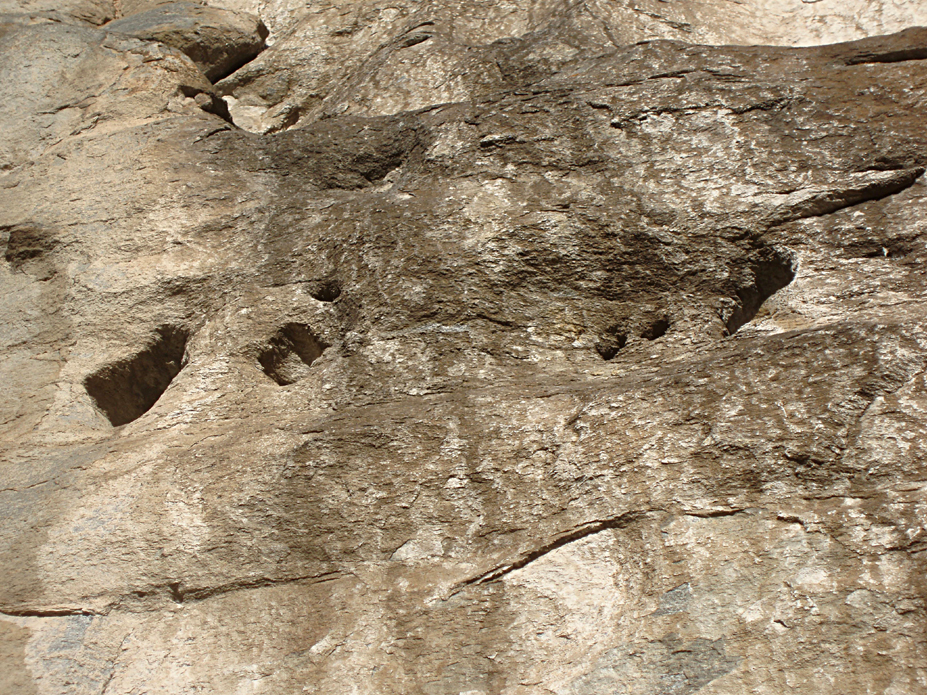 ���������,�� �� ������ �������� ���������