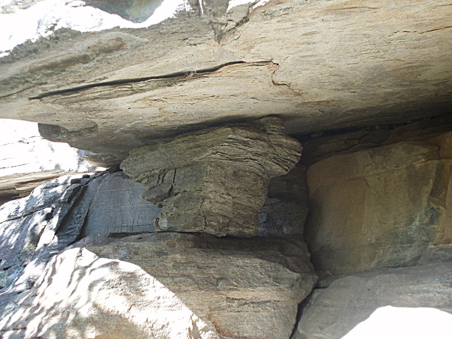 ���������,�� �� ������ �������� ���������