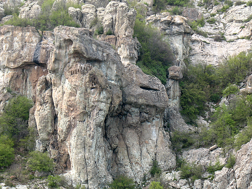 ���������,�� �� ������ �������� ���������