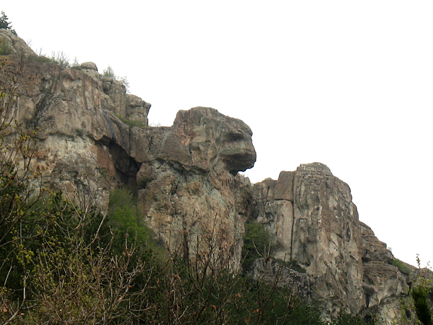 ���������,�� �� ������ �������� ���������