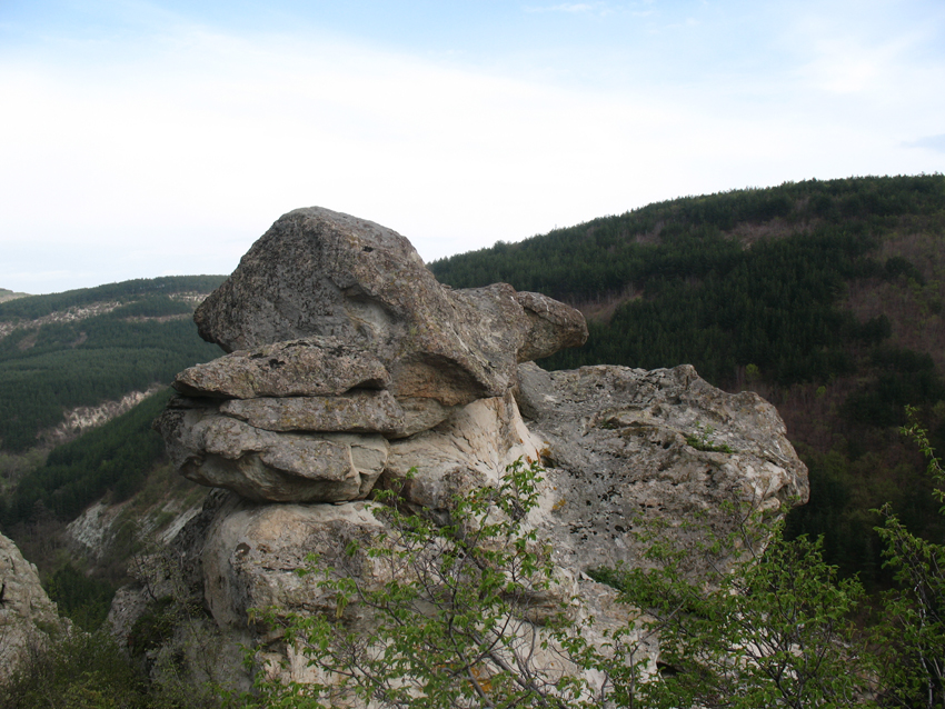 ���������,�� �� ������ �������� ���������