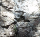 165-1.jpg