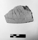 inscriptions_03.jpg