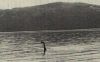 lochness 1970s.jpg